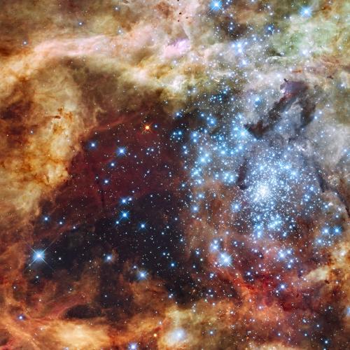 Tarantula Nebula